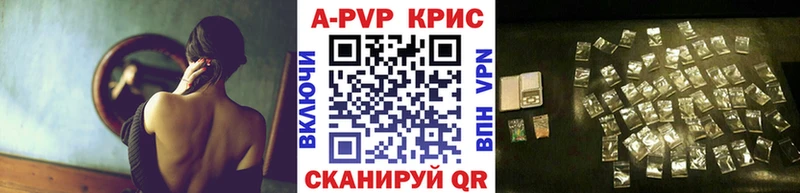 дарк нет телеграм  Анива  А ПВП Соль 